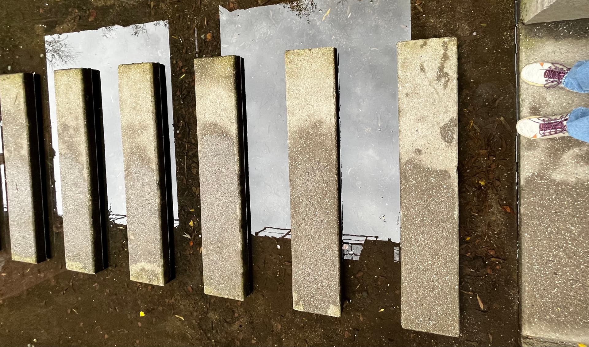 Take your first step of your quantum walk!